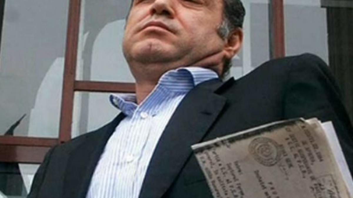 deziluzia optica gigi la librarie