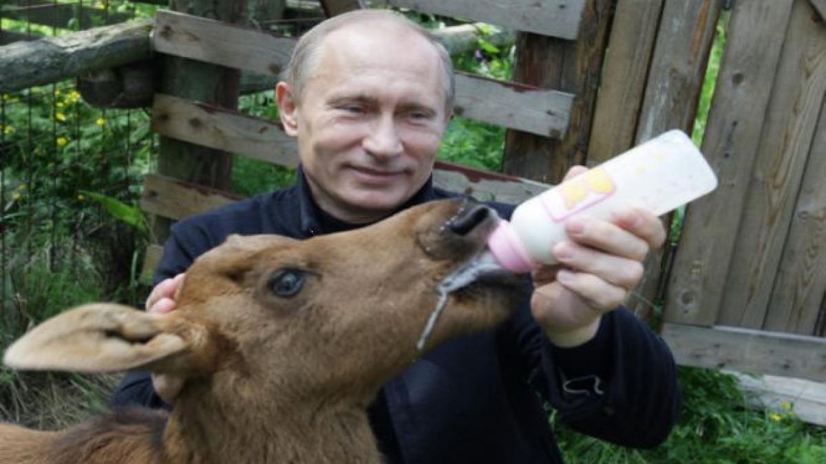 putin are cea mai mare cota de popularitate din ultimii 15 ani 88 dintre rusi aproba activitatea