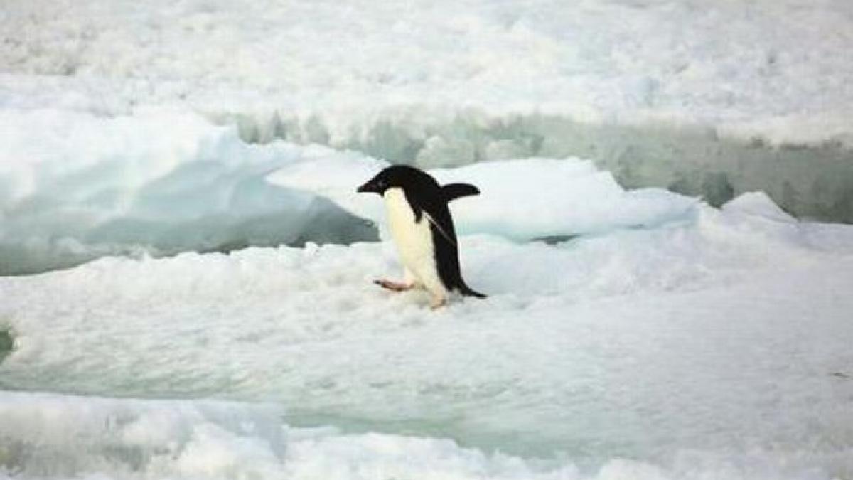 fenomenul ce poate avea consecinte catastrofale accelerat de apa calda care patrunde prin canale