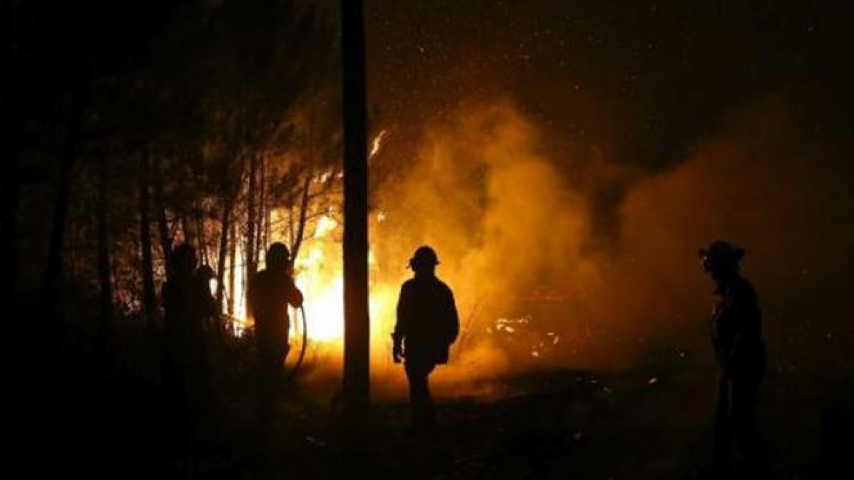 arges incendii de vegetatie extinse pe zeci de hectare