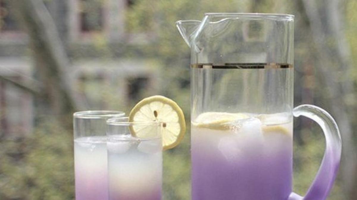cum sa faci limonada cu lavanda si sa scapi de anxietate si dureri de cap