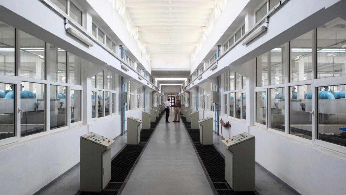 ziua mondiala a apei celebrata de apa nova la statia de tratare arcuda