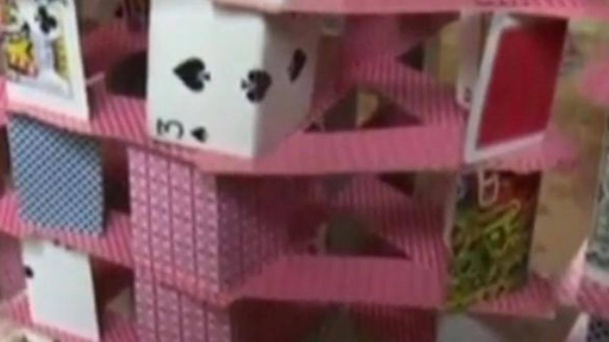 castel din carti de joc turnul masoara aproape doi metri si jumatate video
