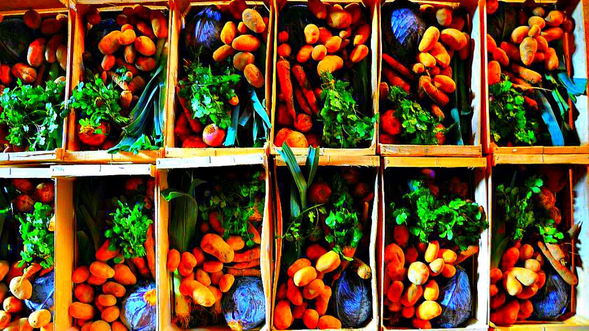 rosii si ceapa pe abonament salvarea micului producator pe sistemul japonez