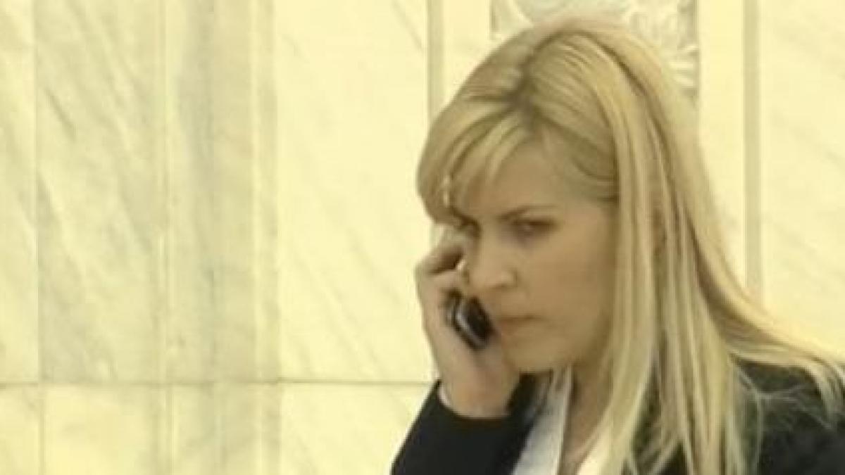 elena udrea stia ca banii din spagi ajungeau la pdl