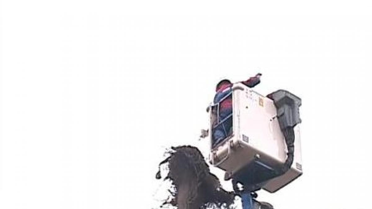 ministrul mediului pregatit sa intervina pentru orice barza din romania