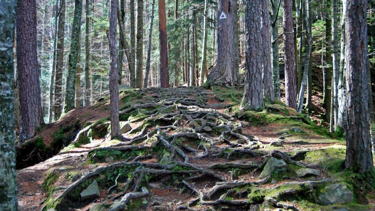 biserica ortodoxa amendeaza pe oricine merge pe acest traseu montan sumele se ridica intre 2 000 si