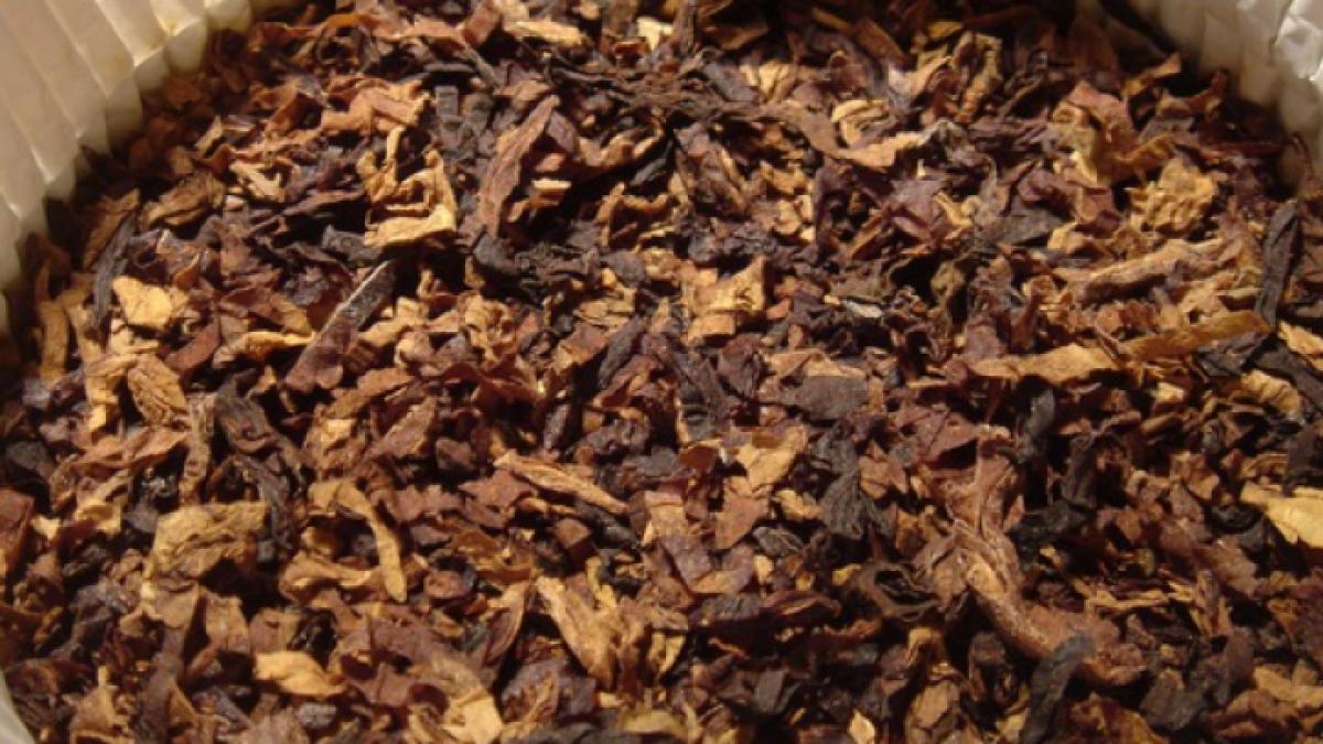 evaziune fiscala de 16 milioane lei cu tutun pentru narghilea zece persoane aduse la audieri la