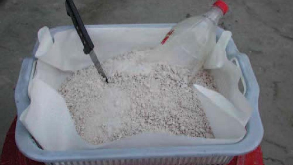 update captura impresionanta de heroina la timisoara