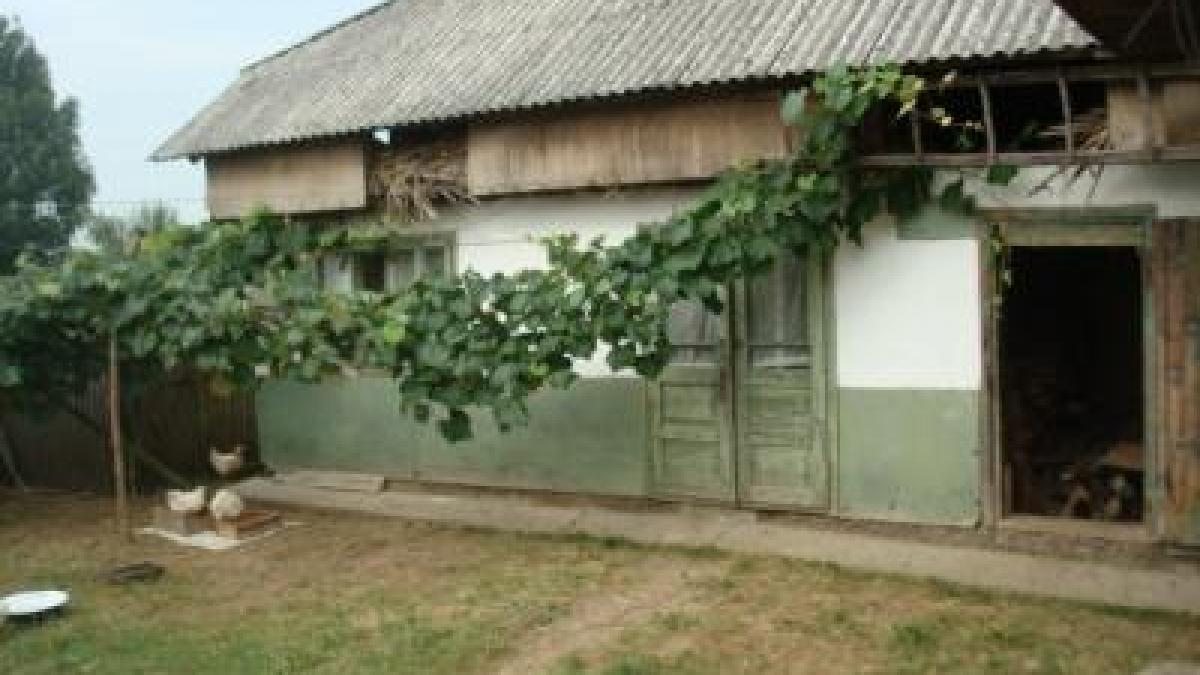 a fost omorat cu un fier de calcat de una din femeile care i trecea pragul casei politistii nu au