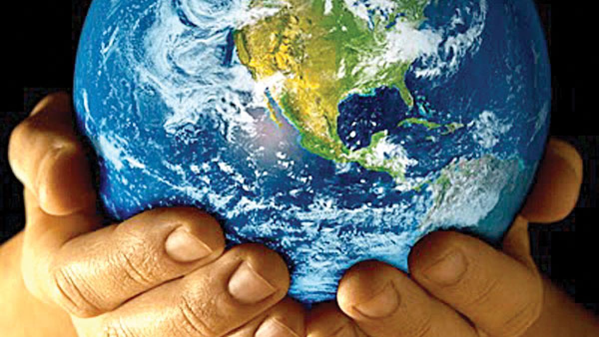 primaria municipiului bucuresti se alatura miscarii ora pamantului