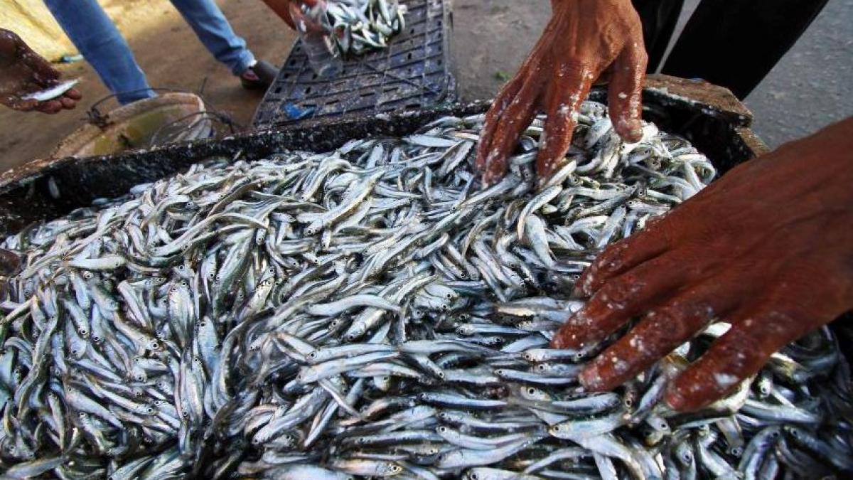 aproximativ 4 000 de pescari blocati pe mai multe insule indoneziene