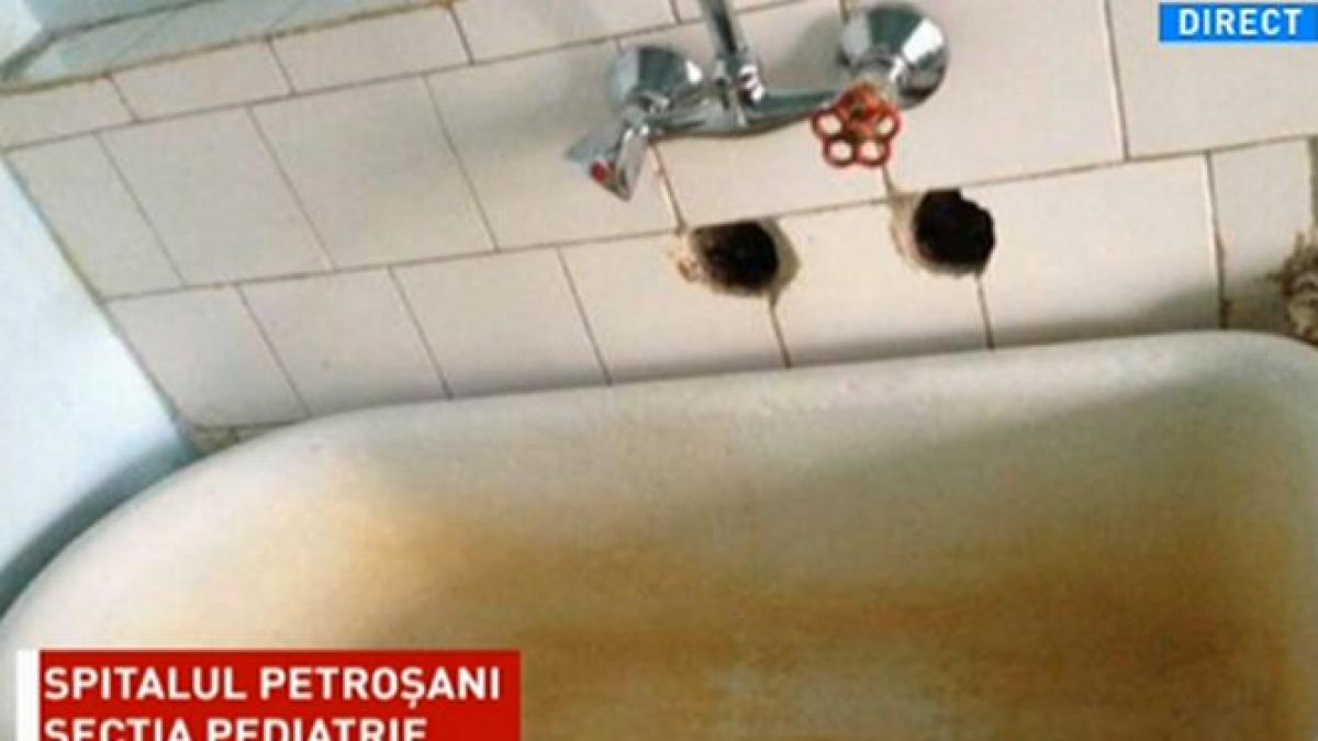 control la spitalul din petrosani dupa imaginile prezentate la sinteza zilei zeci de copii erau