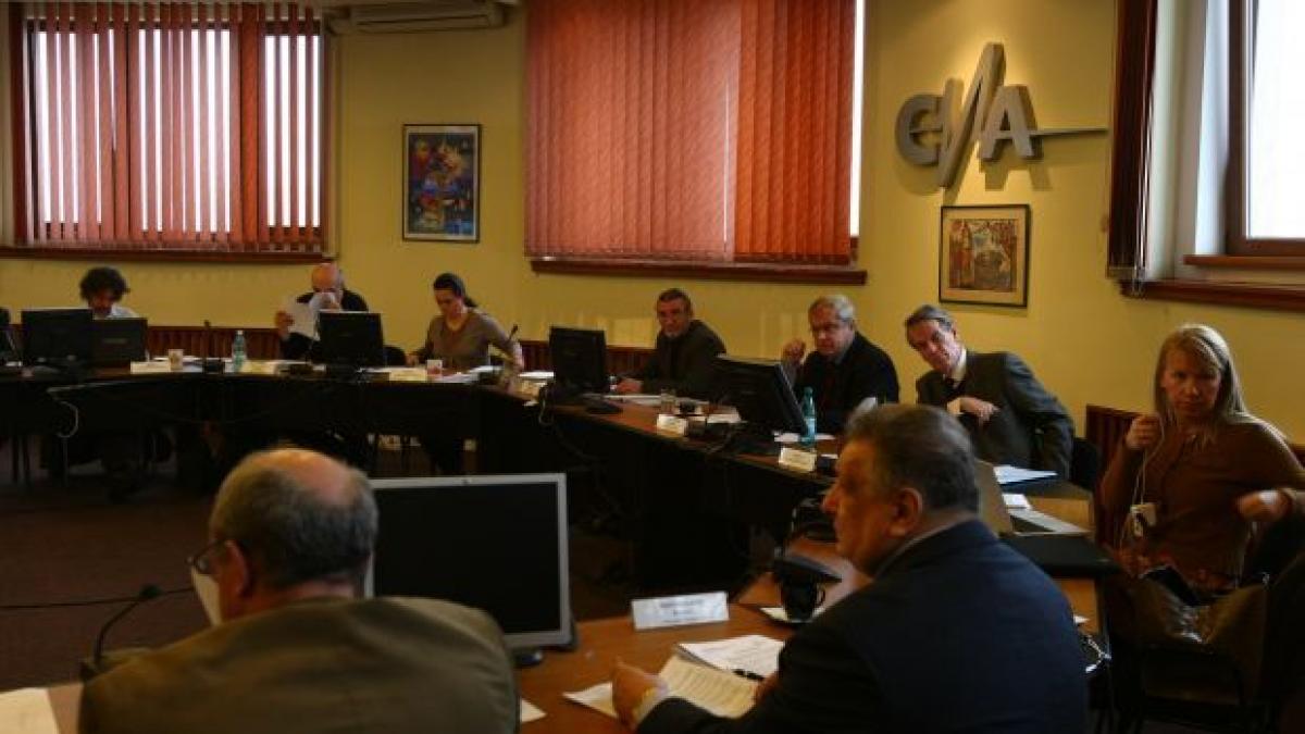 alegeri pentru vicepresedinte la cna