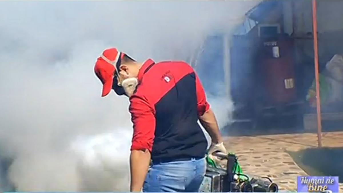 numai de bine cum sa nu picam in capcana daunatorilor