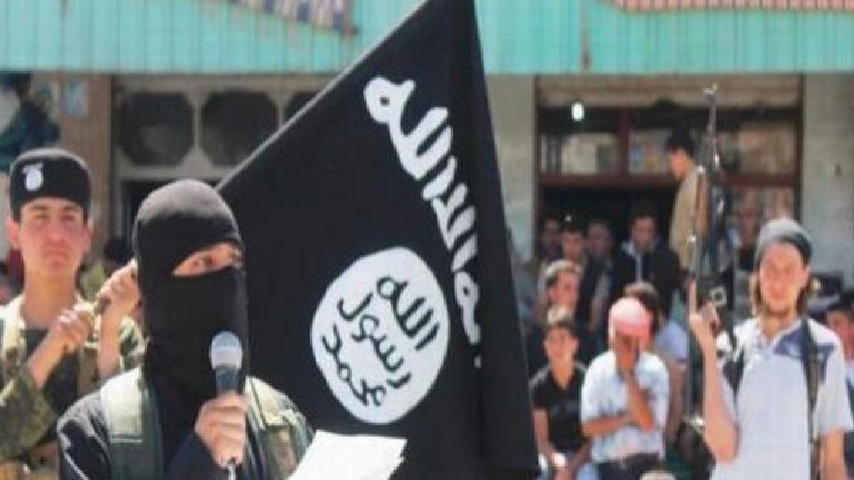 ostatic olandez eliberat in mali de armata franceza