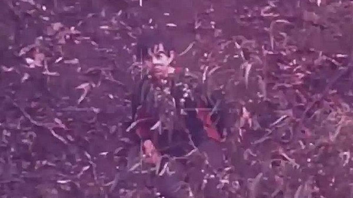 un baiat de 11 ani din australia disparut in padure mai bine de 4 zile a fost gasit in viata video