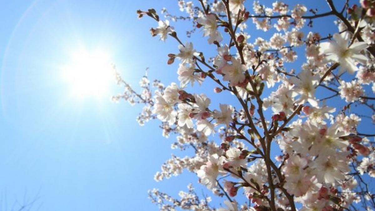 vreme frumoasa de paste temperaturile ating 24 de grade