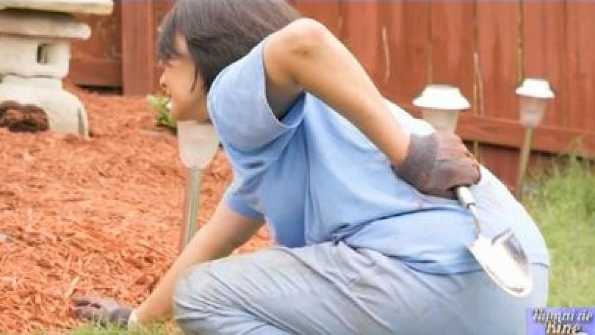 numai de bine cum pot fi reduse durerile articulare