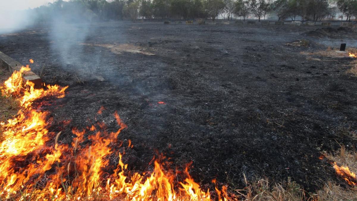 rusia cel putin 15 morti in urma incendiilor de vegetatie din sudul siberiei