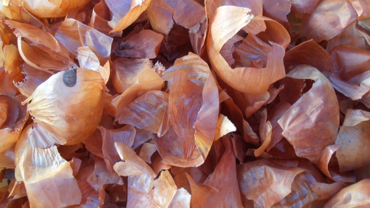 ce poti trata cu coji de ceapa cum se folosesc