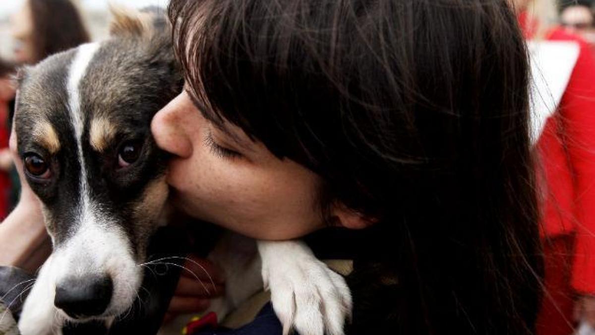 cercetatorii au aflat cum a devenit cainele a devenit cel mai bun prieten al omului