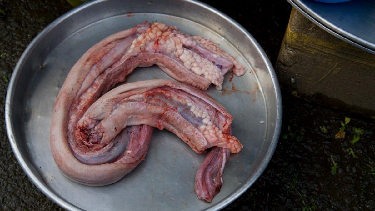 mancarea exotica ar putea sa nu beneficieze de reducerea tva la alimente