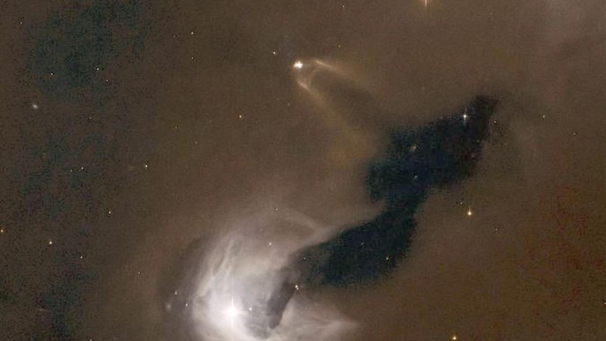 studiu nu au fost gasite semne ale unei civilizatii avansate in spatiu