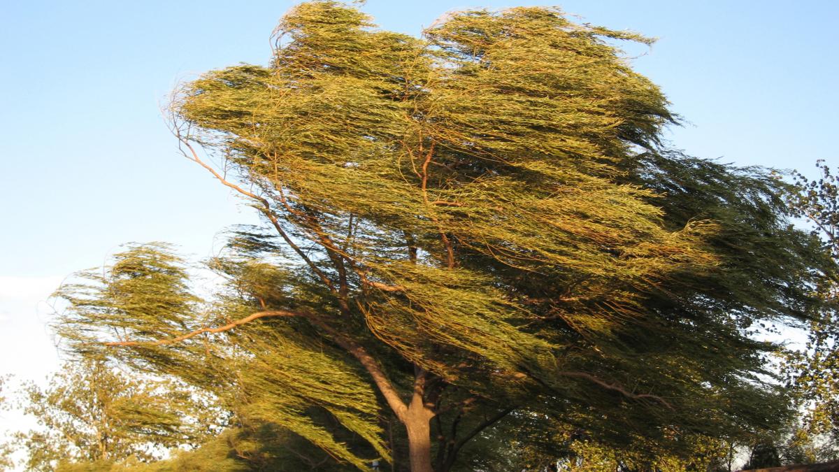cod galben de vant puternic in 13 judete in urmatoarele ore