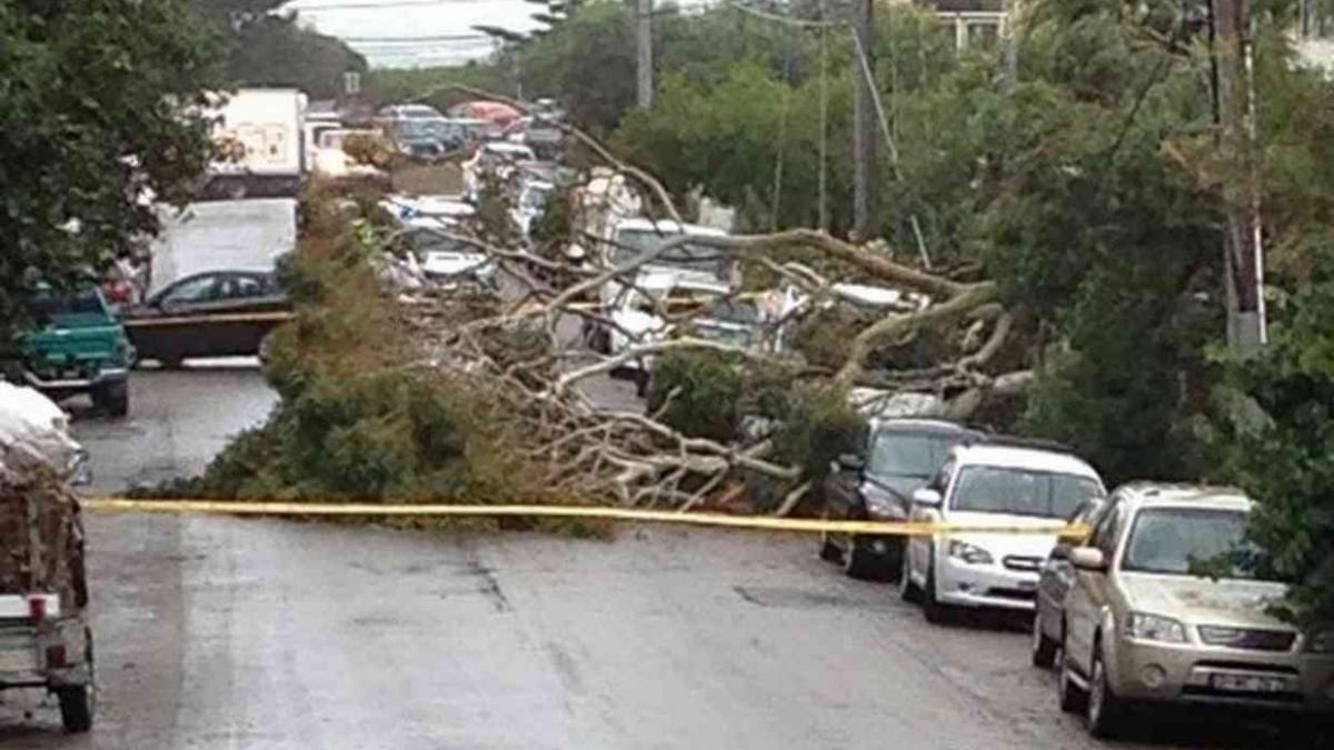 trei morti in urma unor furtuni puternice