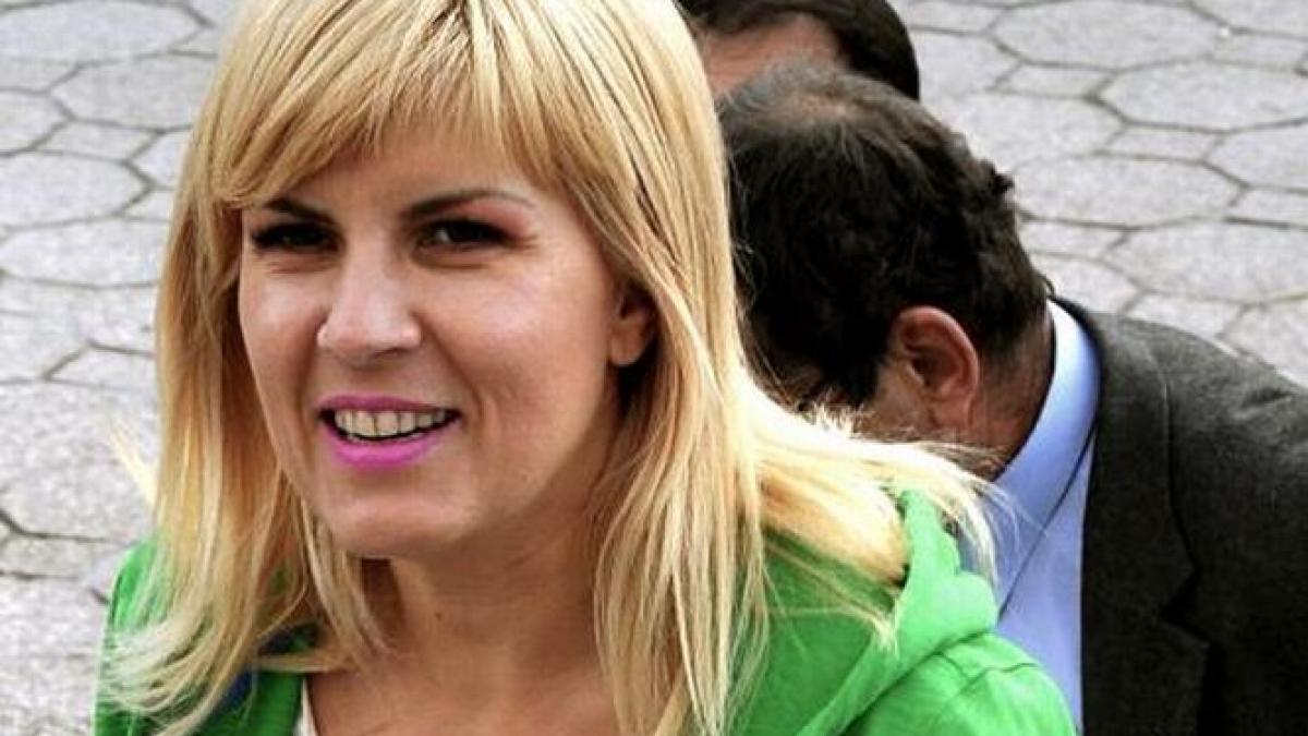ce spune elena udrea despre geanta de 100 000 de dolari