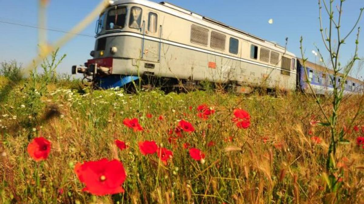 cum ajungi in doua ore la mare in mini vacanta de 1 mai