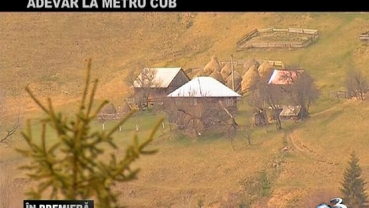 in premiera adevar la metru cub cum inteleg strainii sa faca afaceri in romania si cu ce consecinte