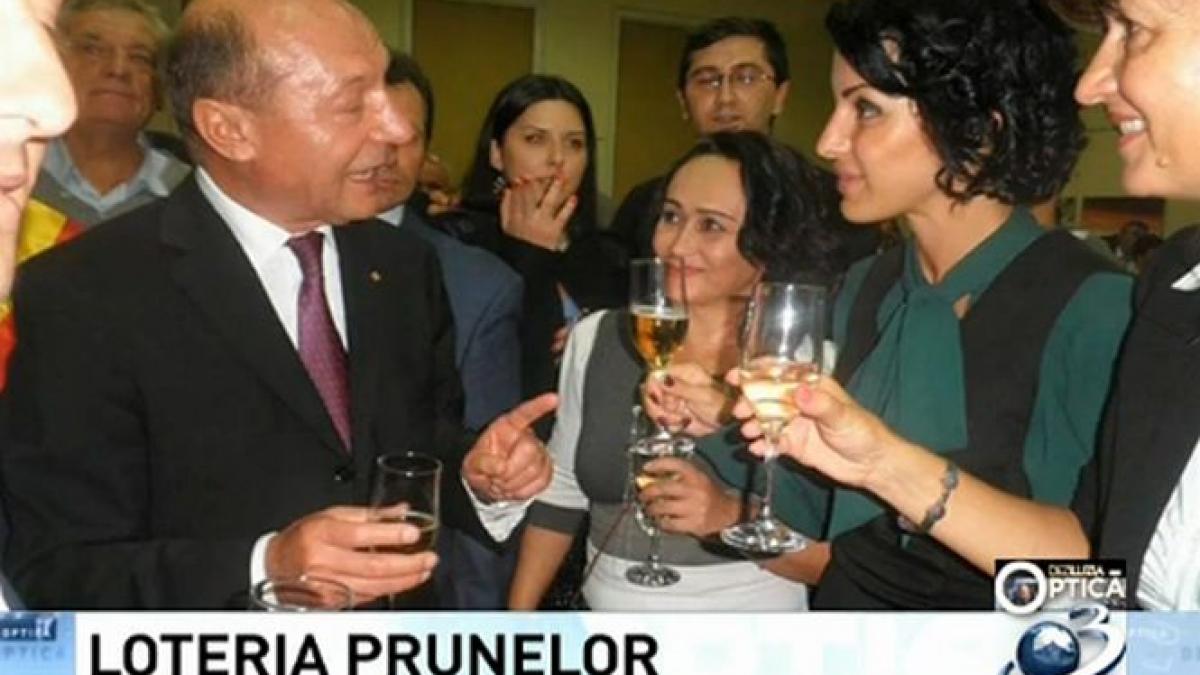 deziluzia optica loteria prunelor