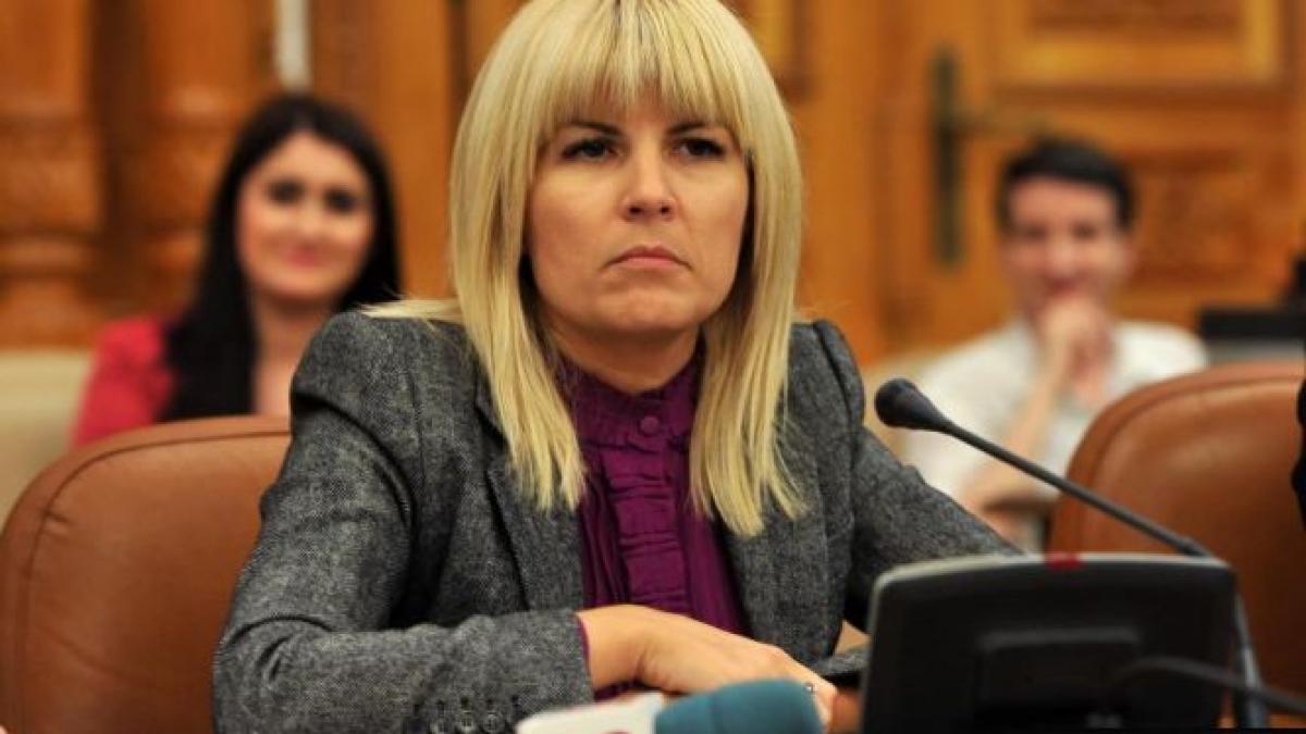 avocat elena udrea afectata de amenintari ea afla azi daca scapa de arest