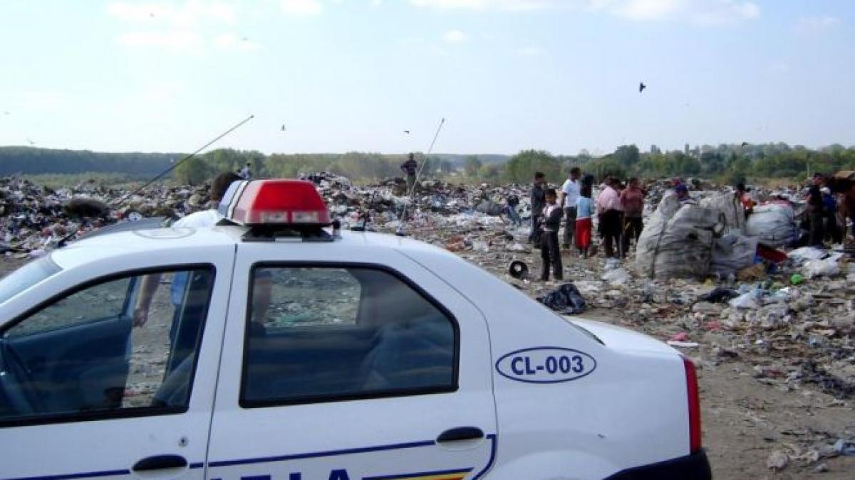 suflete aruncate la gunoi descoperire macabra la o ghena din satu mare