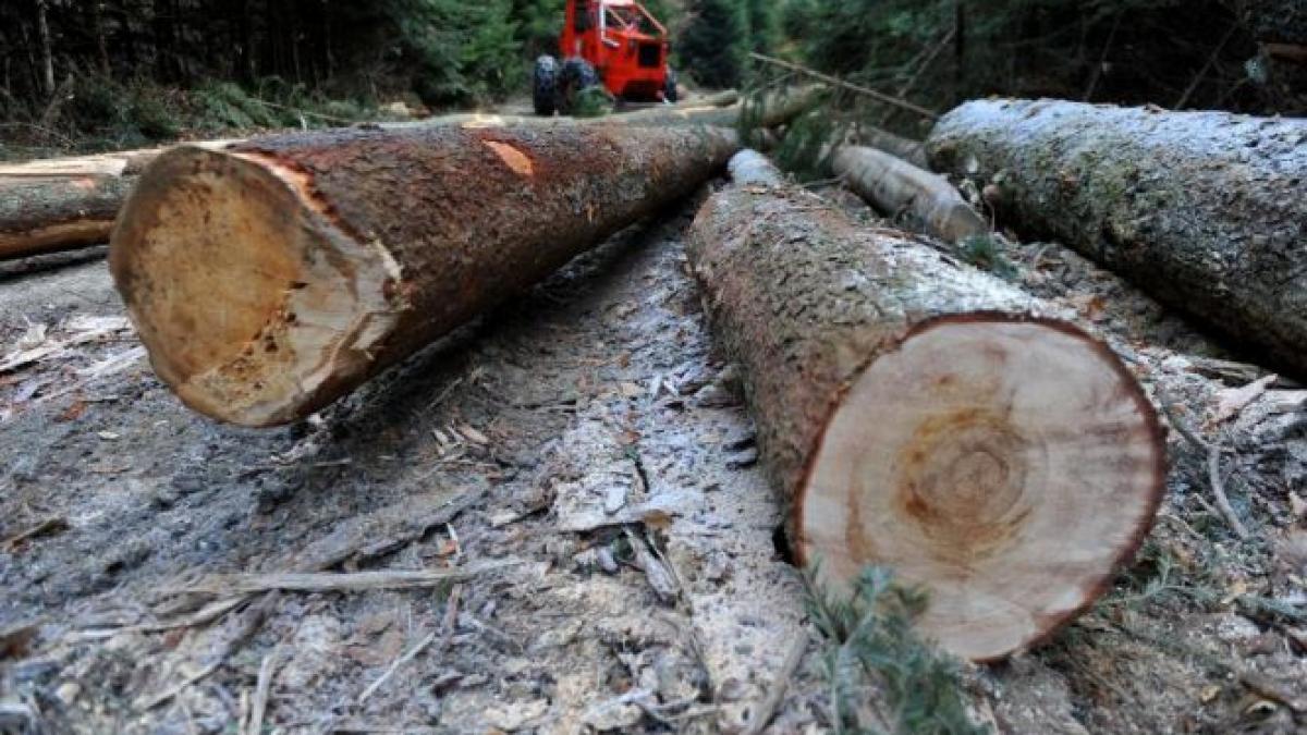 iohannis problema defrisarilor ilegale pe ordinea de zi a urmatoarei sedinte a csat