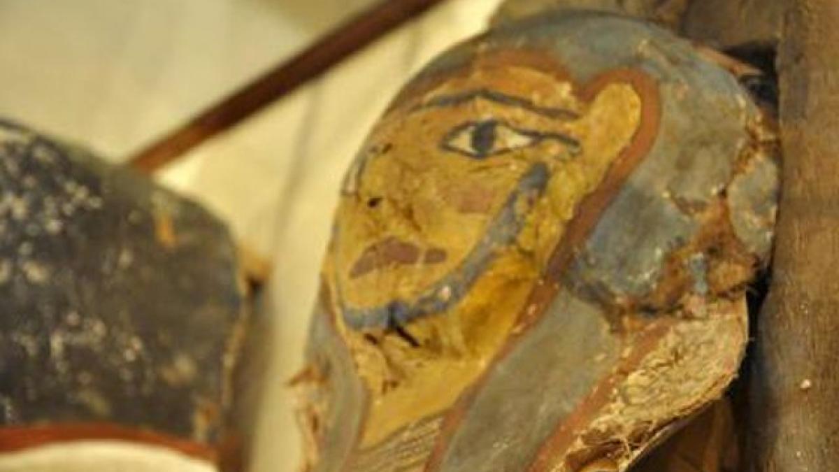 escrocherie sau strategie de marketing o treime dintre mumiile de animale din egiptul antic sunt