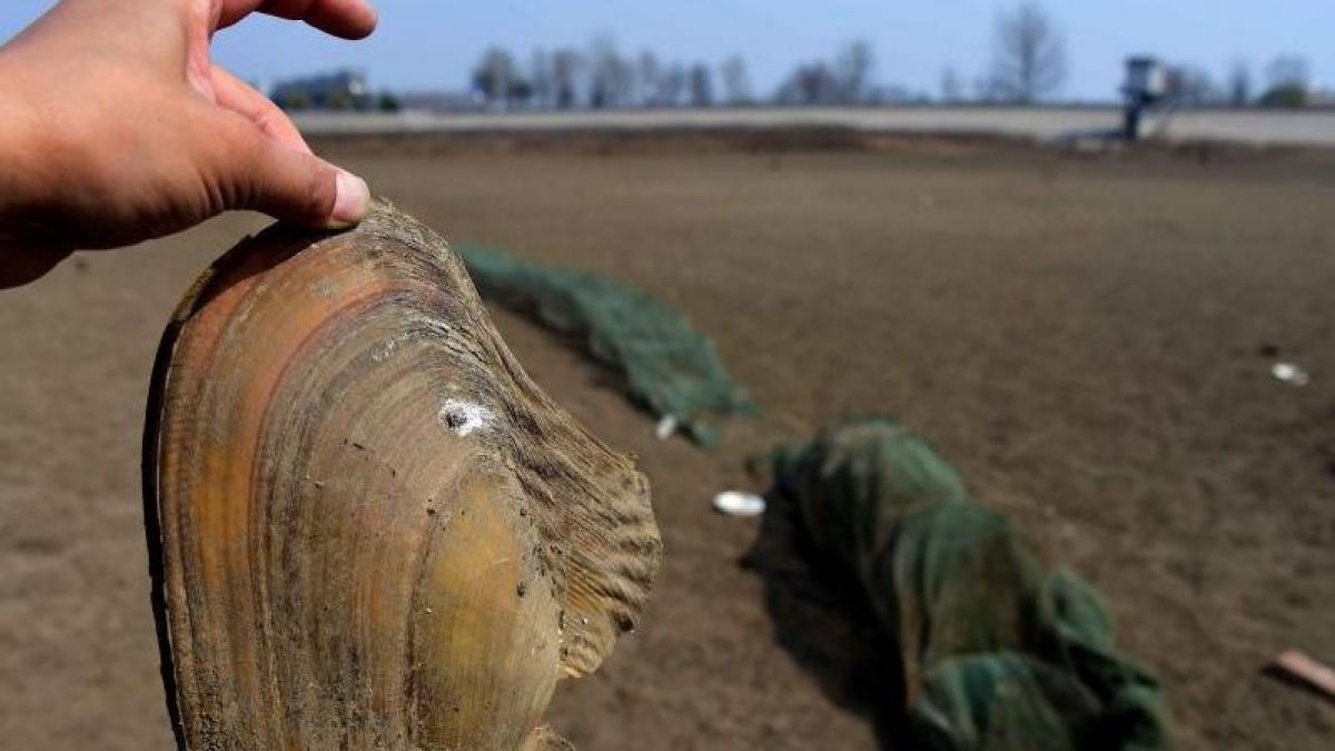 experti urmeaza fenomene meteo puternice si va fi cel mai calduros an din istorie
