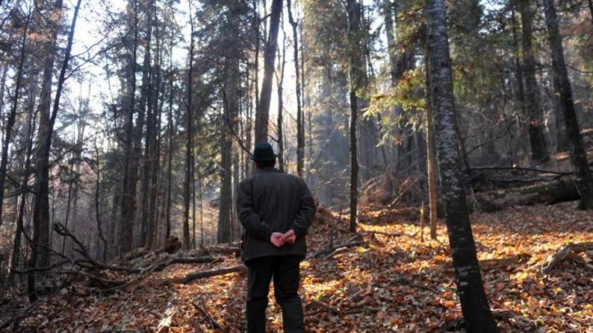 daily income urzeala drujbelor prejudicii de miliarde