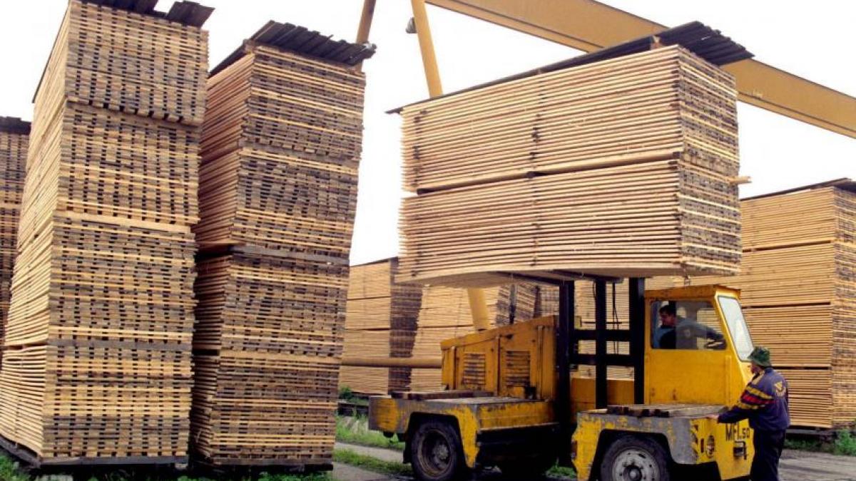 exportul de busteni cherestea si lemn de foc suspendate pana la 31 august