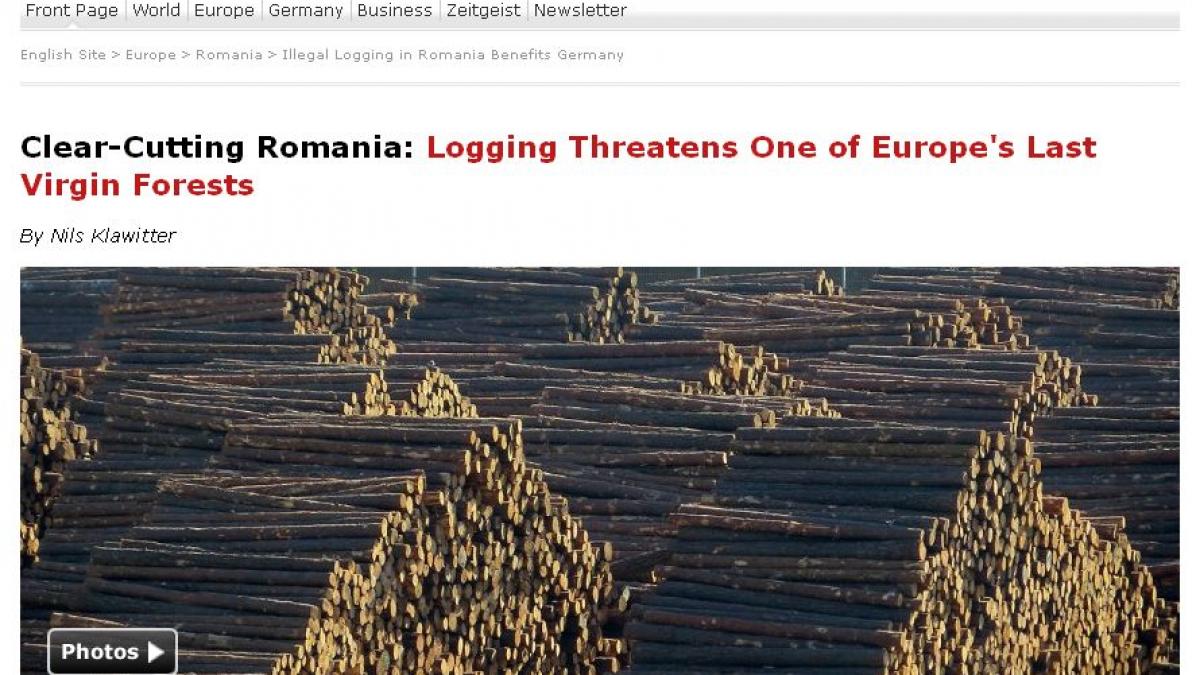 punctul de intalnire jurnalistii de la der spiegel deplang sangerarea celor mai frumoase paduri din