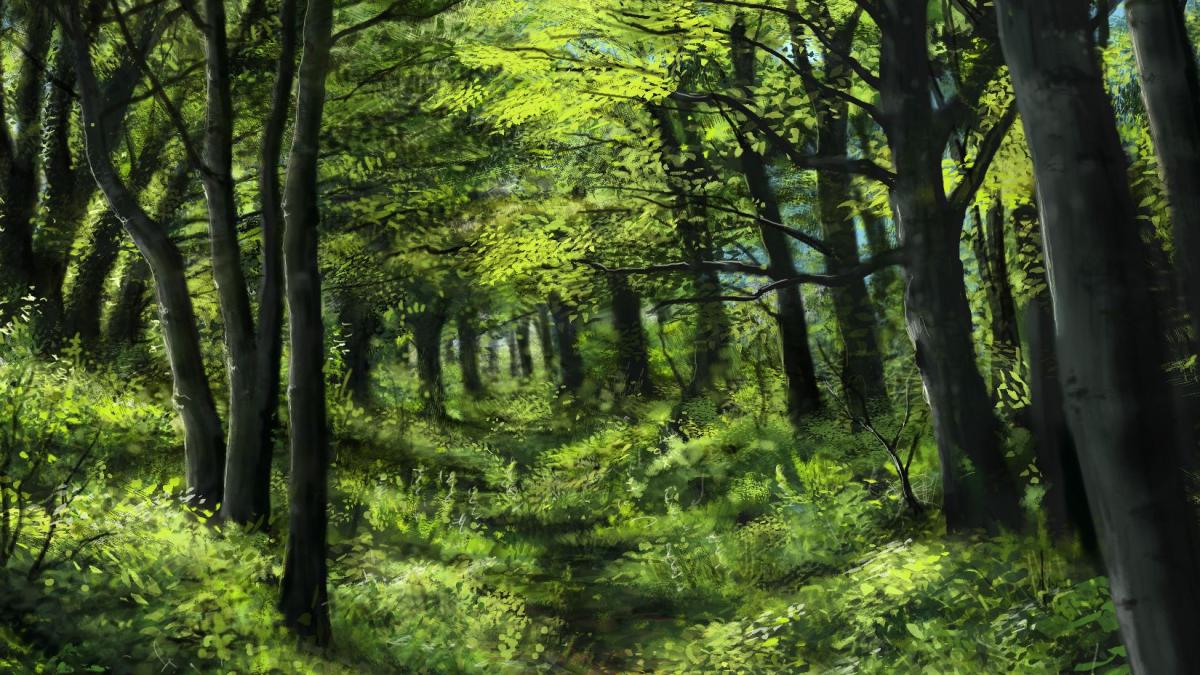 secvential padurea scrovistea refugiul lui traian basescu iradiata