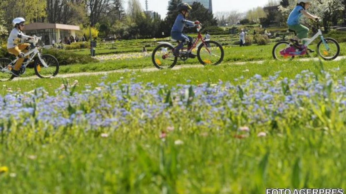 unde traiesc cei mai fericiti copii din lume vei fi surprins