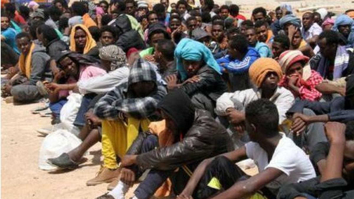 aproape 900 de imigranti au fost salvati in marea mediterana