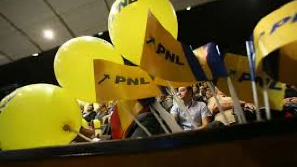 liberalii vor sa isi gratiaze penalii membrii pnl discuta despre modificarile la statut