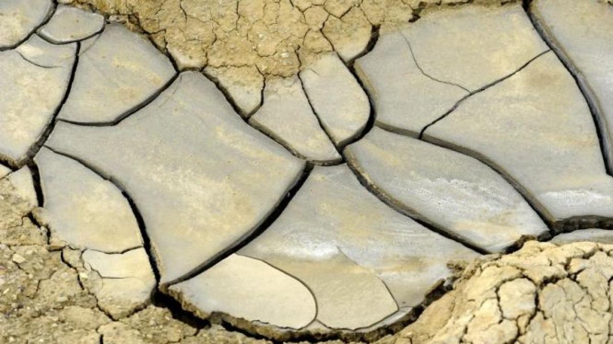 india seceta a provocat moartea a cel putin 289 de persoane in ultimele zece zile