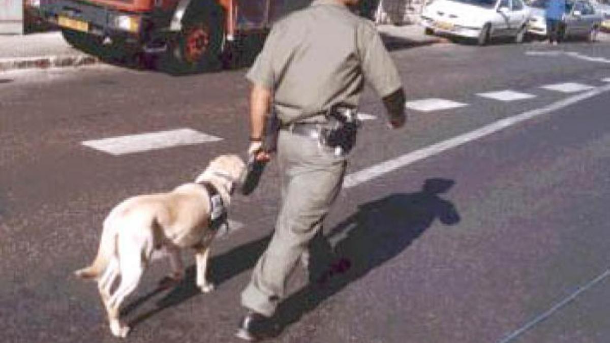 alarma in centrul chisinaului politistii moldoveni au depistat arme cocktailuri molotov si