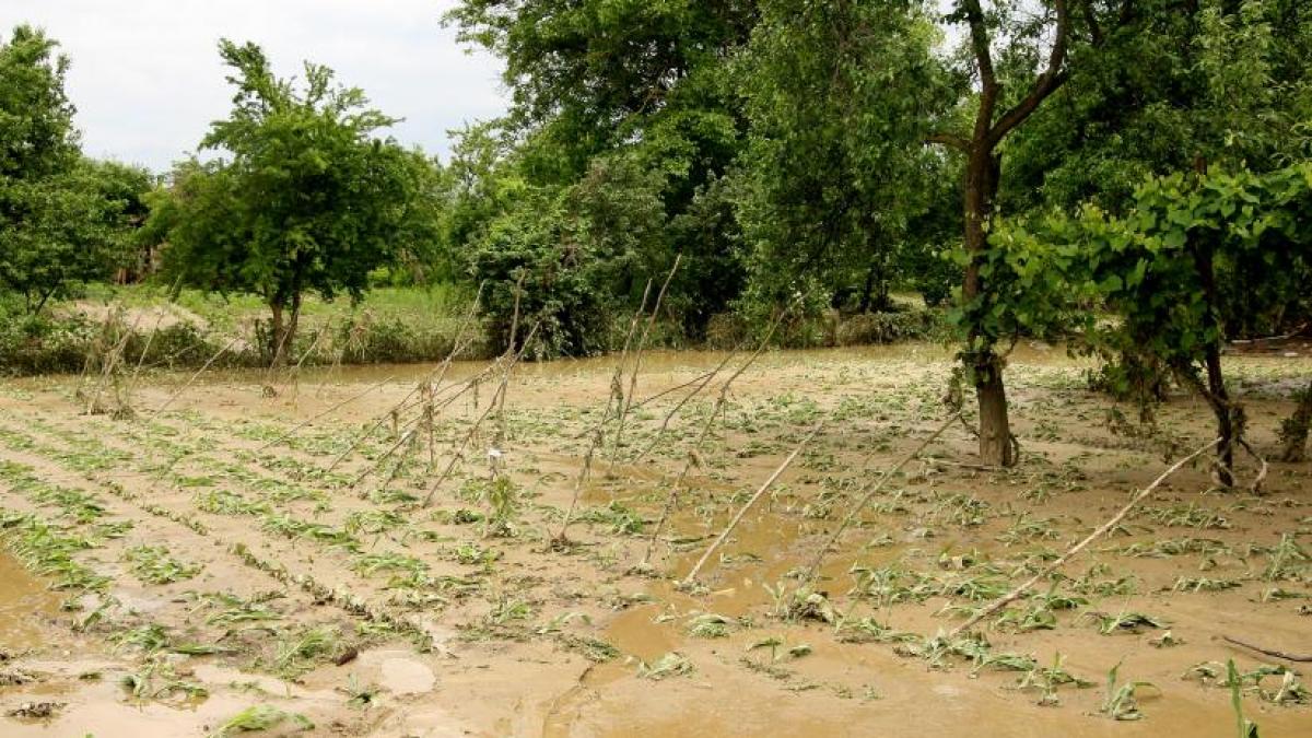 romania lupta cu inundatiile doar pe hartie bilantul ultimilor 10 ani este dezastruos