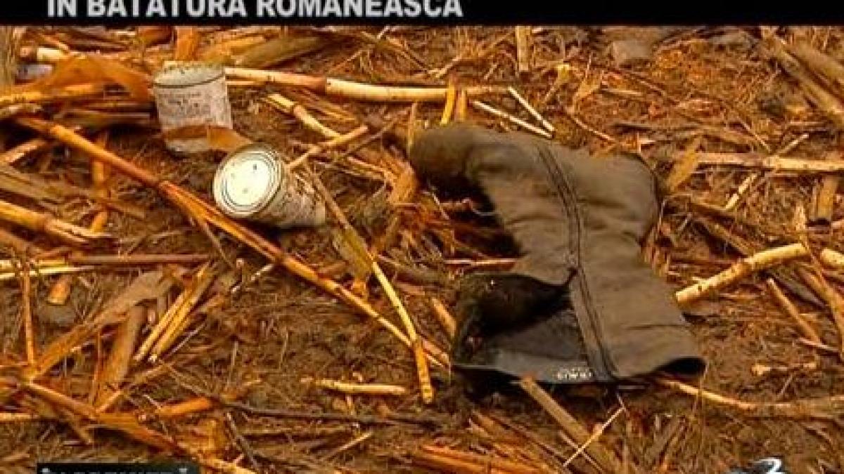 in premiera in batatura romaneasca